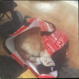 Eric Schmid / Peter Friel CD