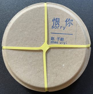 Zhao Ziyi 赵子毅 - Sorry CD Box
