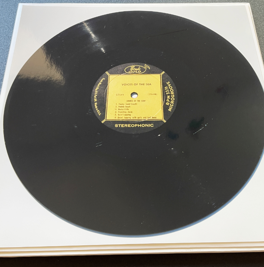 Tarantel / Jonathan Monk - Latency / Every Scratch Tells A Story LP Art Multiple - Image 4