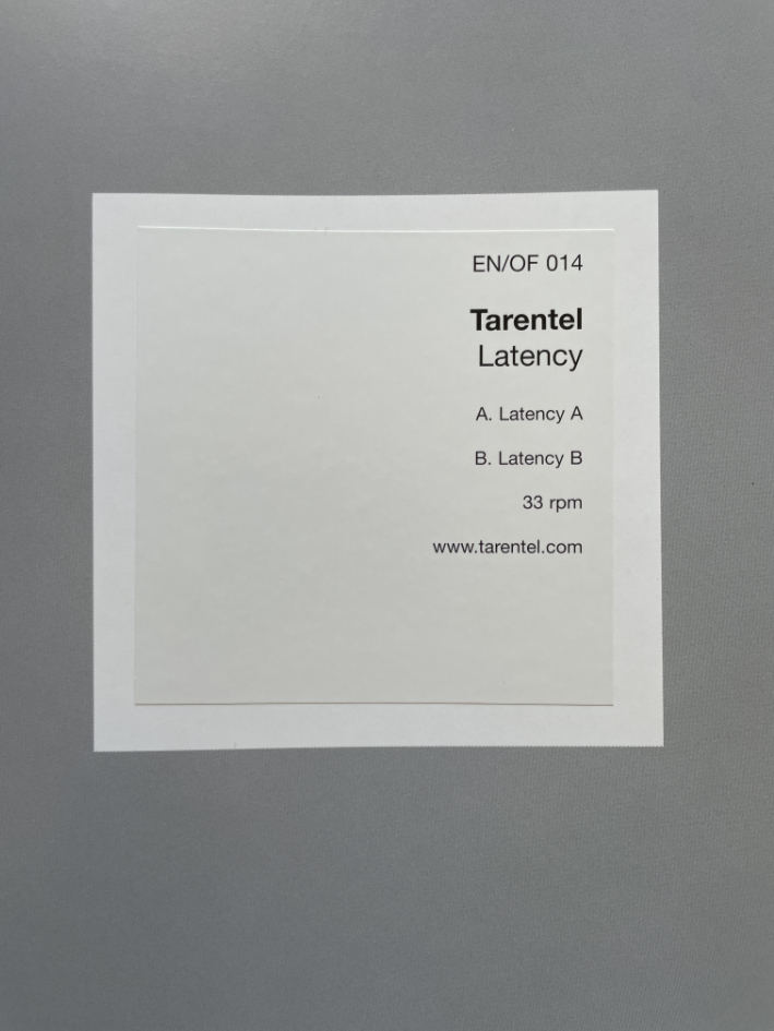 Tarantel / Jonathan Monk - Latency / Every Scratch Tells A Story LP Art Multiple - Image 3